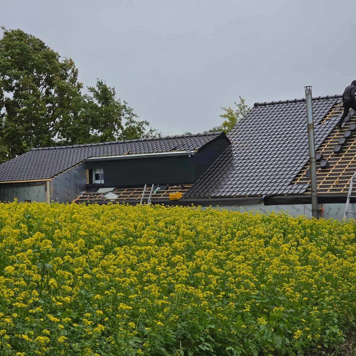 Dakherstelling aan hellend dak in regio Limburg